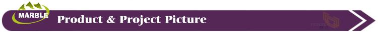 Product & Project Picture.jpg