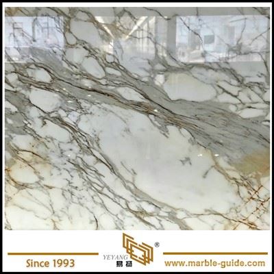 Plateau de table en marbre Calacatta Gold populaire
