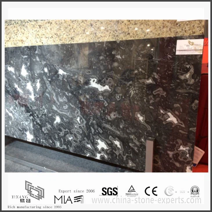 Nouveau marbre de tempête noir différent à vendre à faible coût