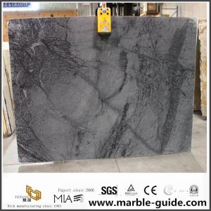 Grey Galaxy Marble Slab For Salle Treal Tile Countertops de bonne qualité