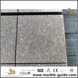 Carreaux de granit Natural G664 chinois
