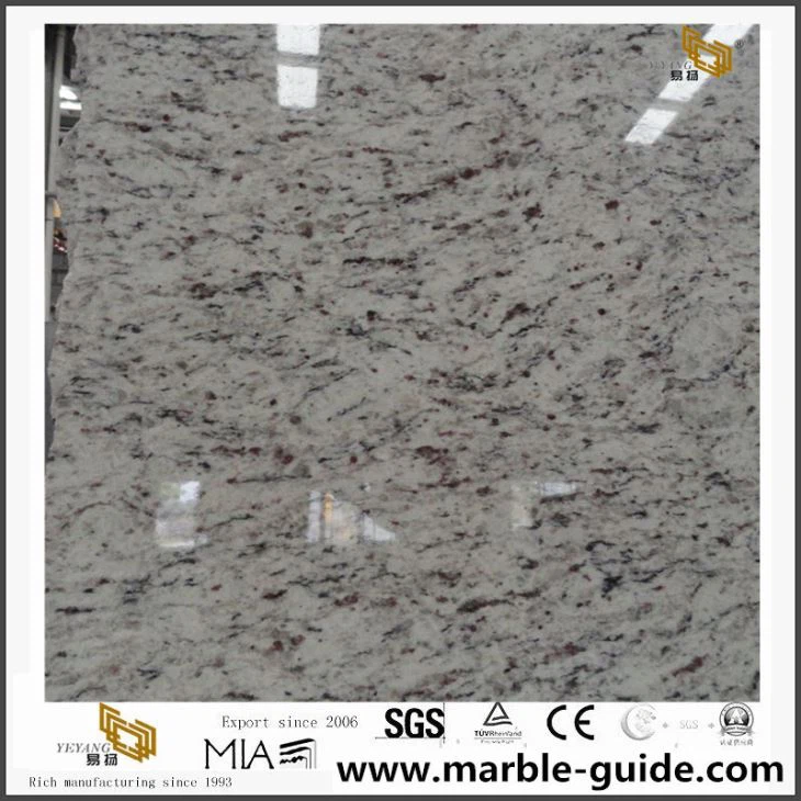 White Rose Granite Slabs Online Sale
